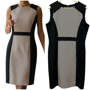 Tahari Arthur S. Levine Sheath Polka Dot Tan & Black Dress Size XL